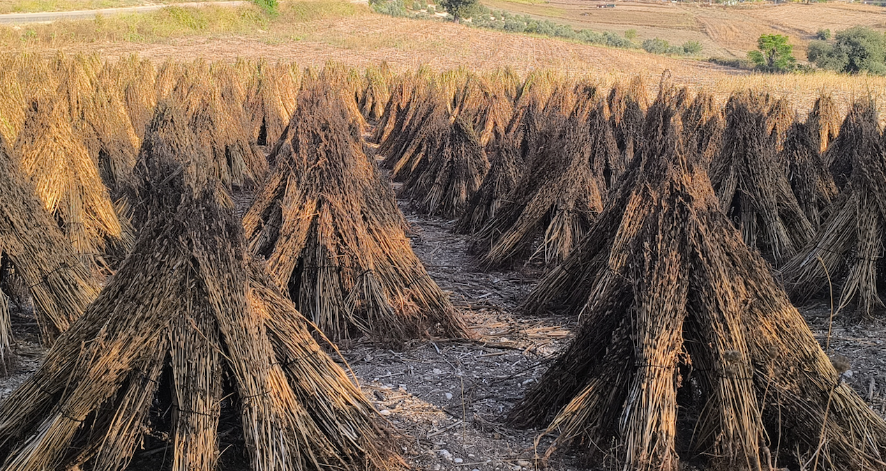 ‘200 liranın altında teklif ederlerse susamı götürür baraja dökerim balıklar yesin’
