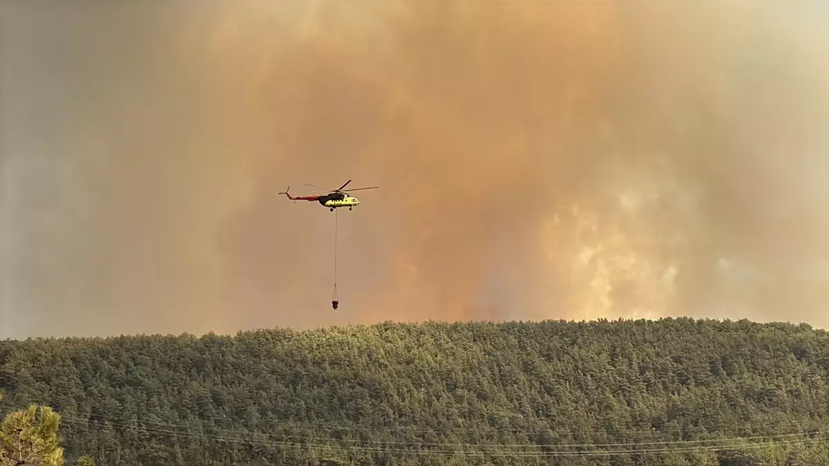 Alanya’da Orman Yangını: Mahalle Boşaltıldı