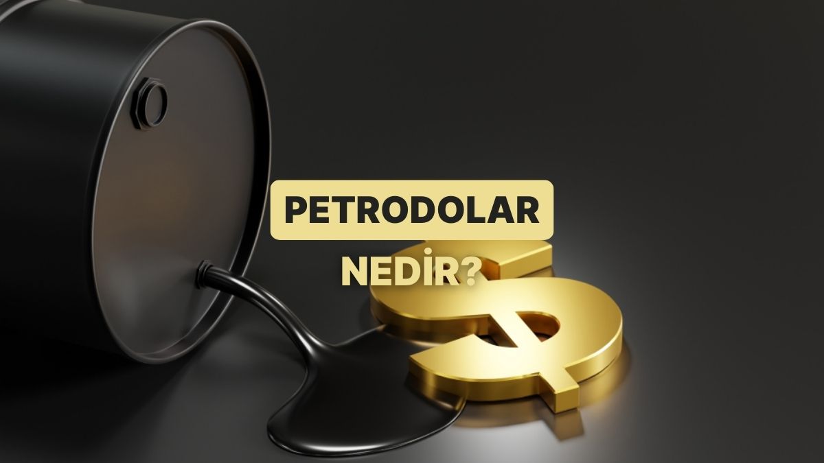 “Petrodolar” Kavramı Ne Demek? Nasıl Ortaya Çıktı, Ne İfade Ediyor?