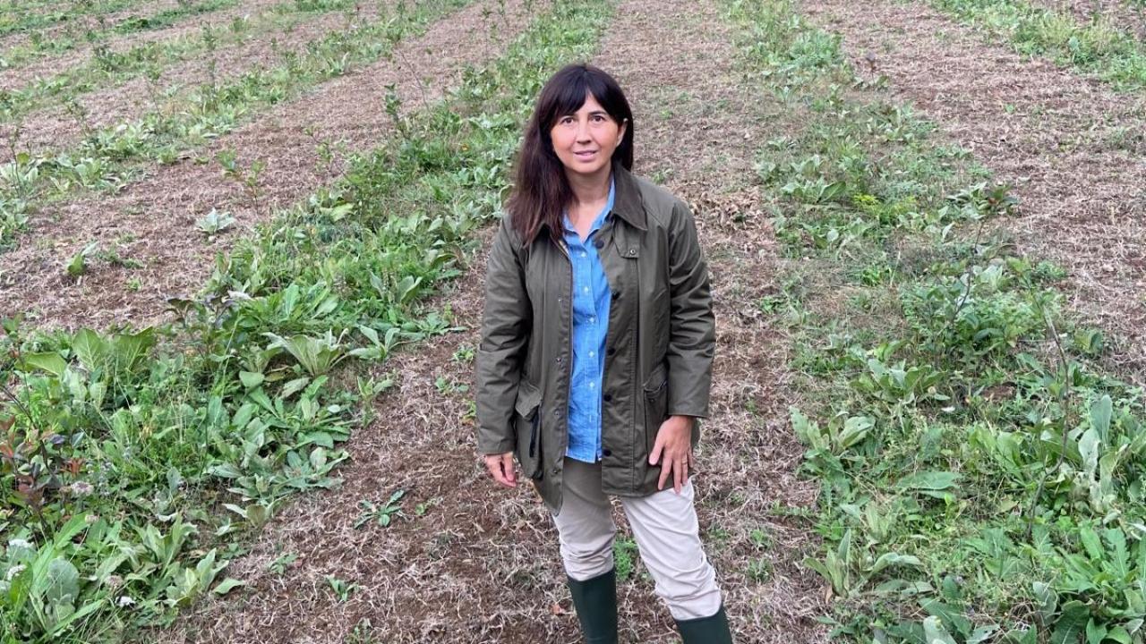 Kariyerini bıraktı, toprağa döndü: Seda Cem, kadın çiftçilere ilham oluyor!