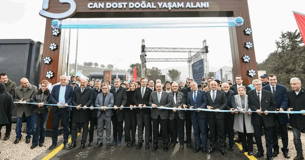 Balıkesir’den sokak hayvanlarına sıcak yuva