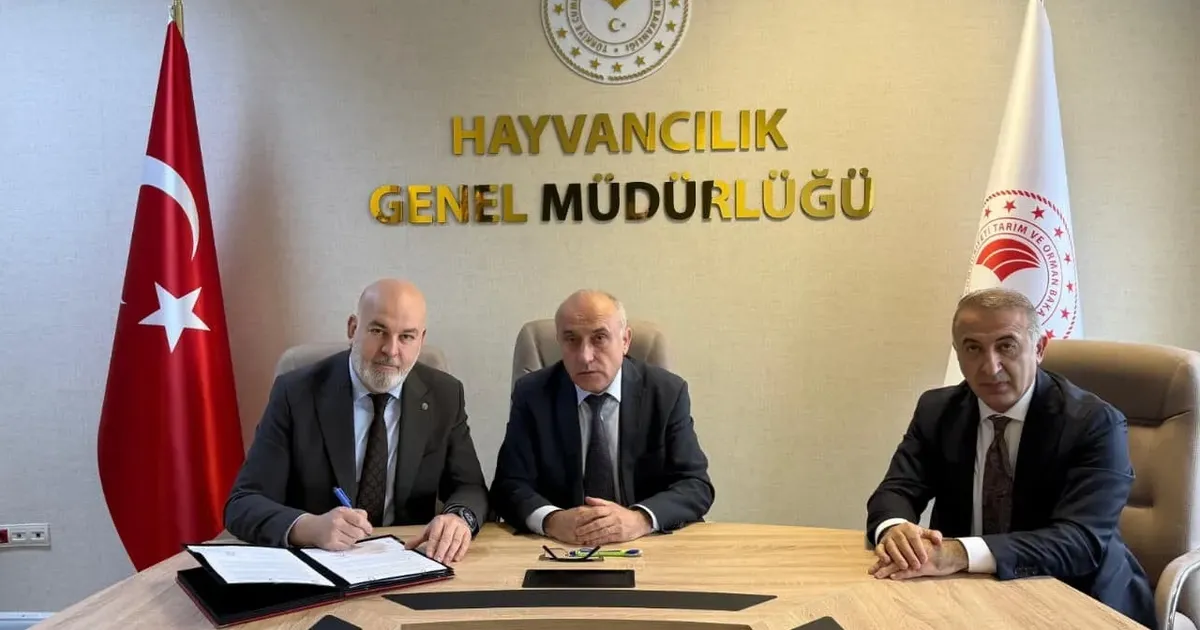 Besilik hayvan krizine neşter! İki kritik protokolle yerli üretim güçlenecek