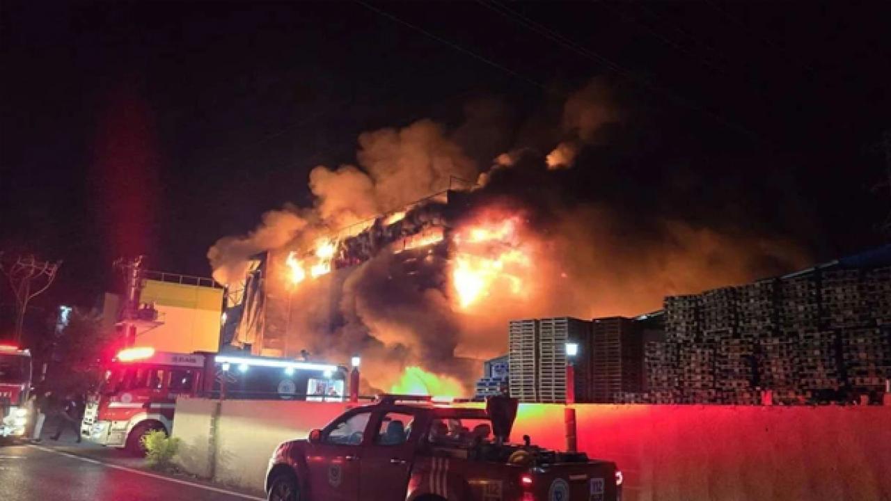 Kozmetik devi iflas etti! Fabrikası kül olmuştu