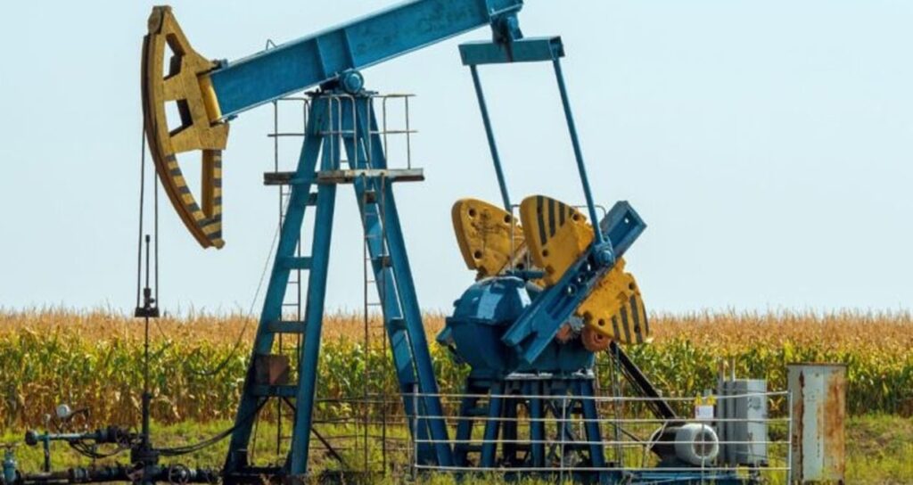 herkesin-bitti-diye-terk-ettigi-kuyudan-servet-cikti-cok-para-kazaniyoruz-zCfYr6tR