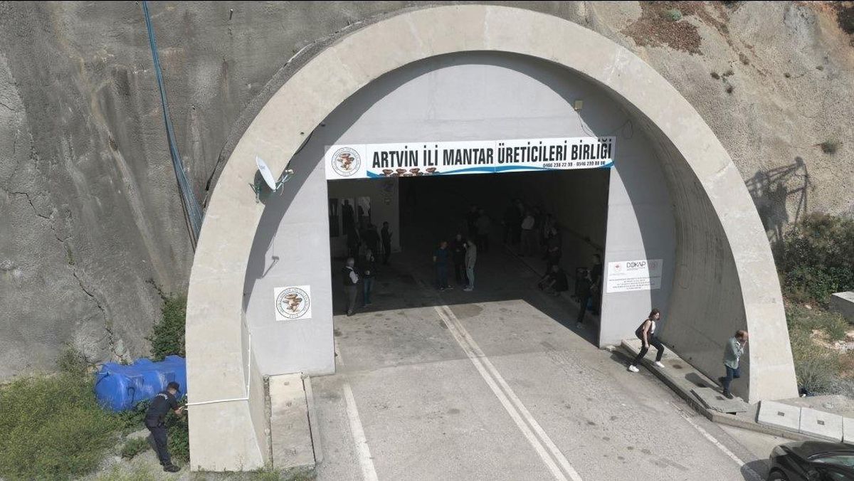 Artvin’de Kullanılmayan Tünel Mantar Üretim Merkezi Oldu