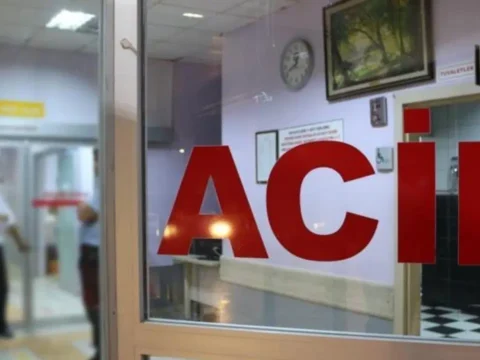 Bahceye kacan topu almaya calisirken bacagina korkuluk demiri saplandi qpUrILLH