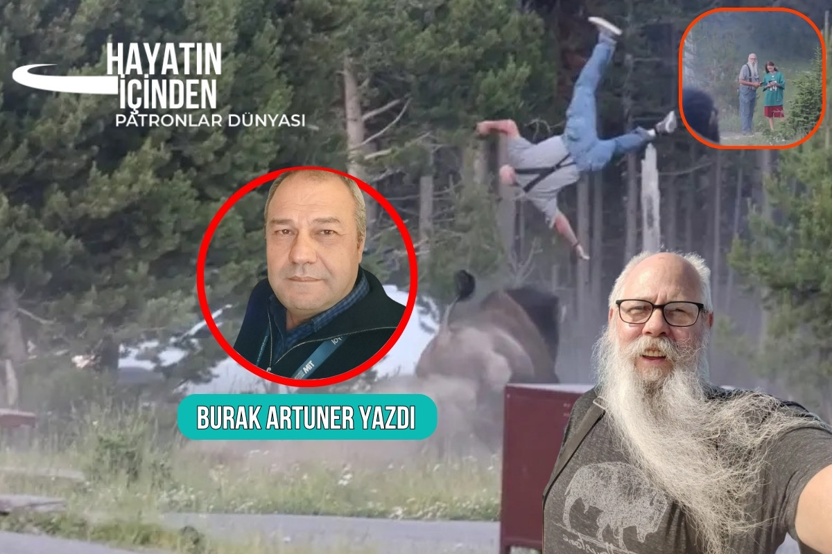 Bir milli parkta yaşlı bir adamı boynuzlarının gücüyle havaya fırlatan bir bizon ve sonrasında yaşananların insanlığa anlattıkları Img