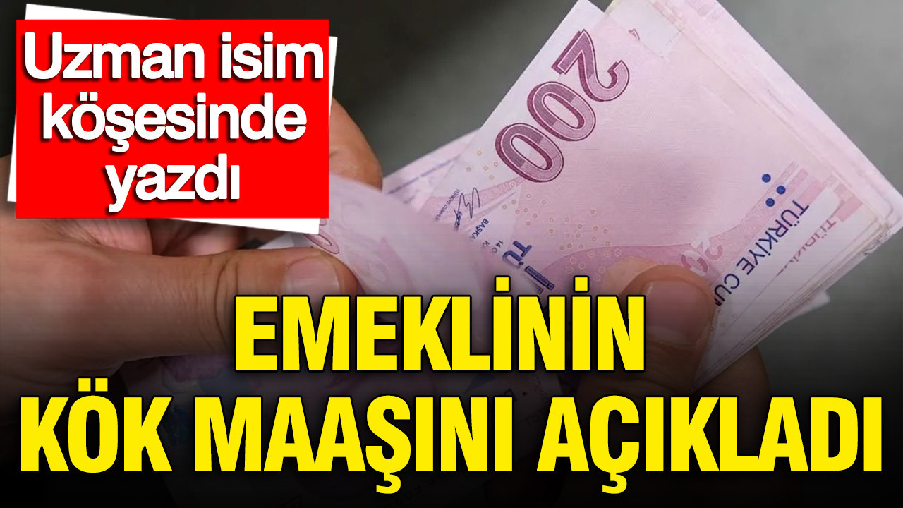Uzman isim köşesine yazdı: Emeklinin kök maaşını açıkladı Img