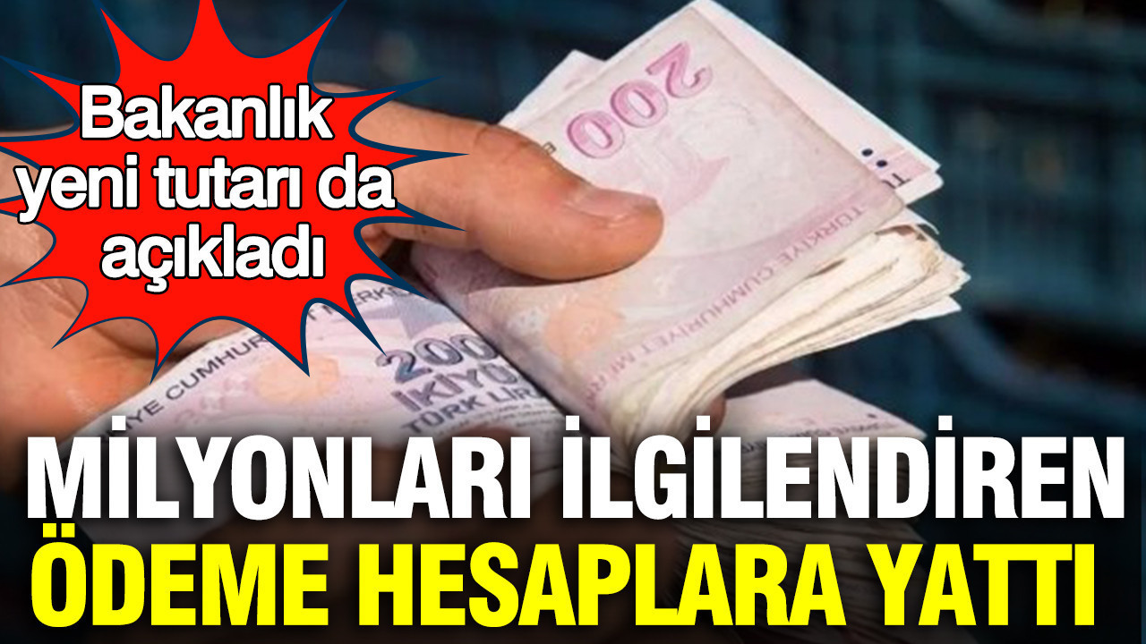 Milyonları ilgilendiren ödeme hesaplara yattı: Bakanlık yeni tutarı da açıkladı Img